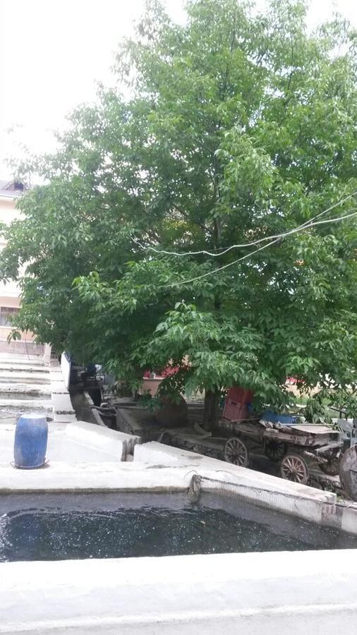 Alanlar Alabalik Ve Otel Ağlasun Екстериор снимка